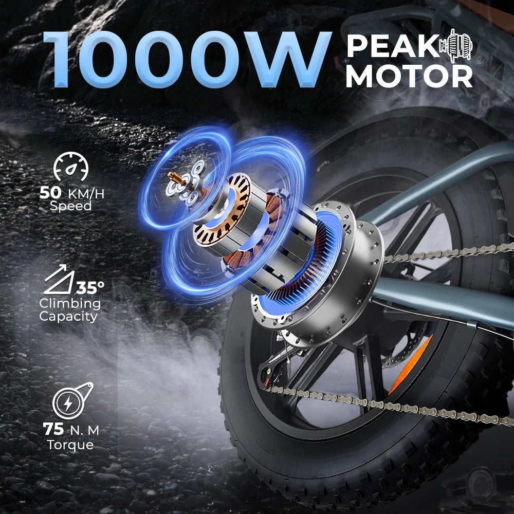 EU Stock DEEPOWER QS7 Electric Bicycle 1000W 48V 35AH Lithium Battery Electric Bike 20*4.0 Fat Tire Snow E-bike,dual shock absor