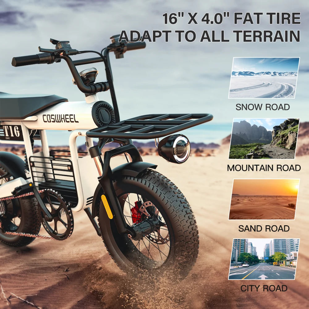 COSWHEEL T16 City Electric Bike EU US Ready Stock Cheap Electrically Mountain Road Fatbike Fat Tire Ebike Electric Bike Factory