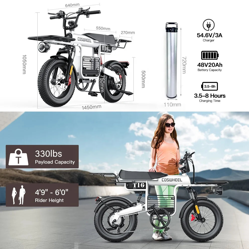 COSWHEEL T16 City Electric Bike EU US Ready Stock Cheap Electrically Mountain Road Fatbike Fat Tire Ebike Electric Bike Factory