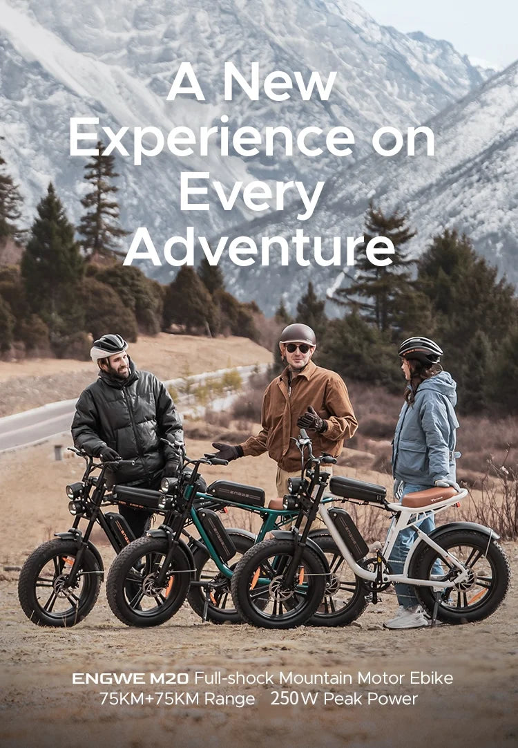 For ENGWE M20 Electric Bicycle with Retro Design 250W 48V Long Range Mountain Bike 20in Fat Bike Disc Brake Lithium US Stock